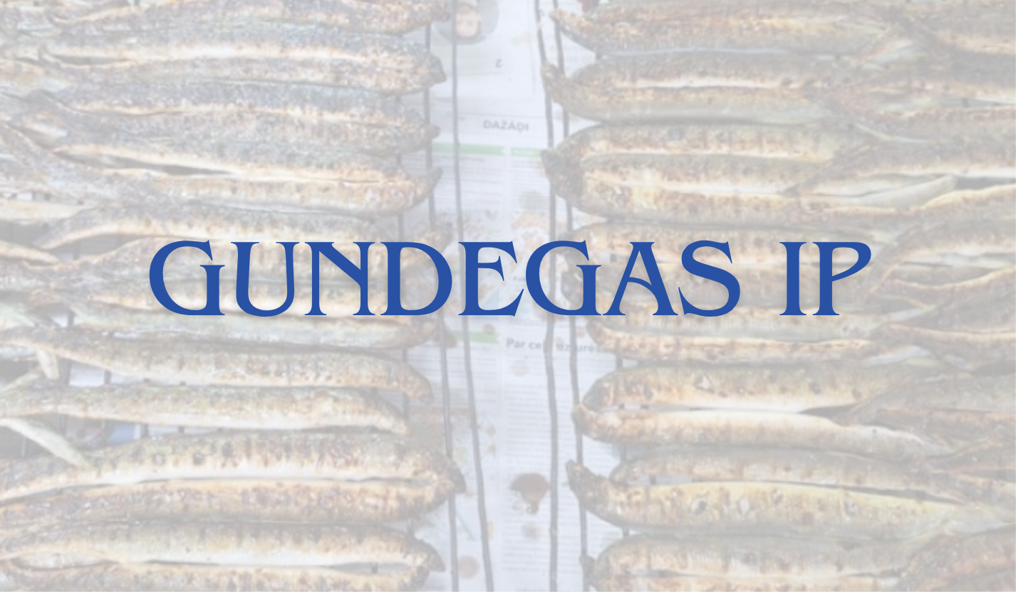 IU "Gundegas IP" ir Aizsargāto ģeogrāfisko izcelsmes norādi (AĢIN) ieguvušo Carnikavas nēģu ražotājs.